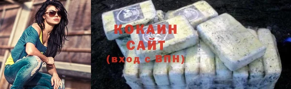 ПСИЛОЦИБИНОВЫЕ ГРИБЫ Каменногорск