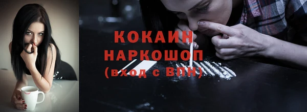 стаф Щучье