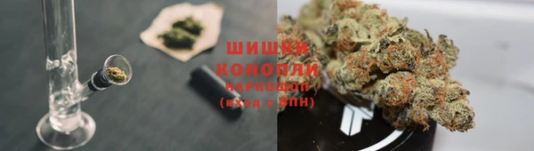 ALPHA PVP Каменка