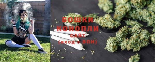 ПСИЛОЦИБИНОВЫЕ ГРИБЫ Каменногорск