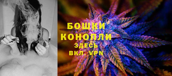 ALPHA PVP Каменка