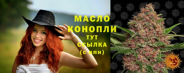 ALPHA PVP Каменка