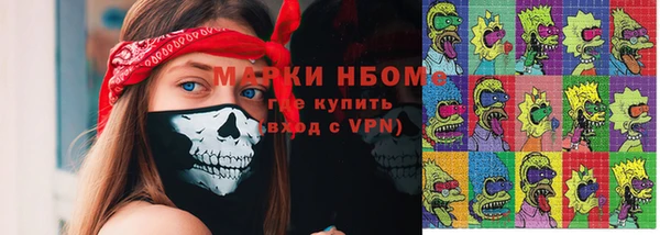 мет Инта