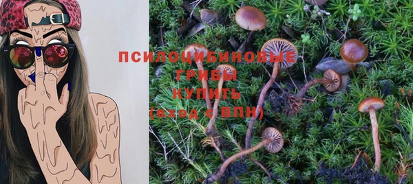 ПСИЛОЦИБИНОВЫЕ ГРИБЫ Каменногорск
