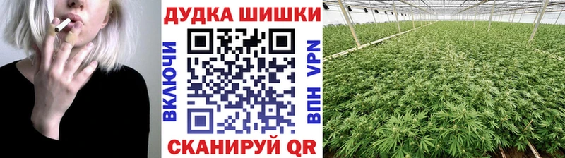 Купить закладки  Мариинский Посад  Канабис Amnesia 